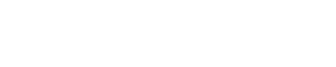 /static/images/logo-sanivolo-bianco.png